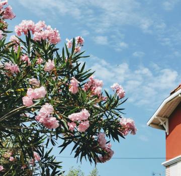 LES PLUS BEAUX SPOTS PHOTO AUTOUR DE L’HOTEL LE B