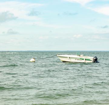 48 HOURS IN ARCACHON, YOUR READY-MADE ITINERARY