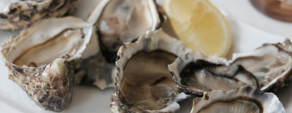 TOP 5 MUST-SEE OYSTER SHACKS IN ARCACHON