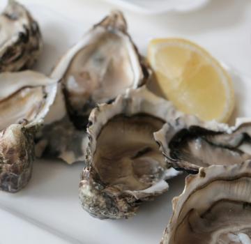 TOP 5 CABANES A HUITRES D’ARCACHON