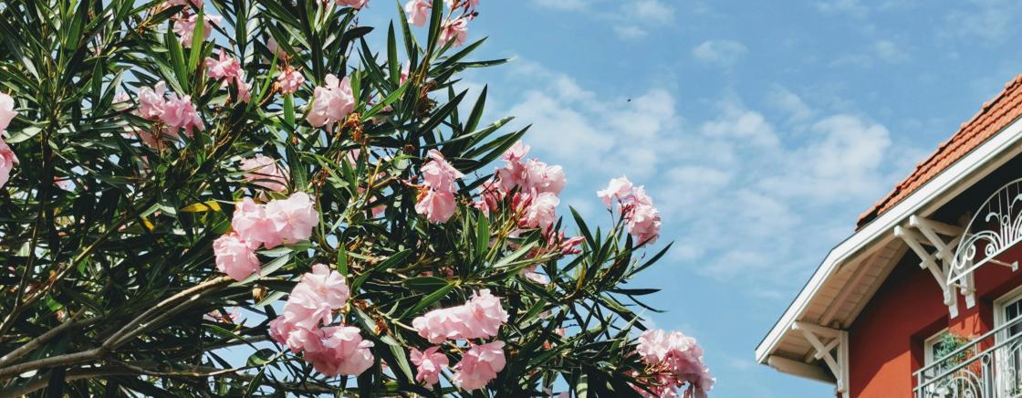 THE MOST BEAUTIFUL PHOTO SPOTS AROUND HOTEL LE B