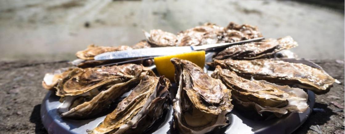 THE FISHERMAN’S HUTS OF THE BASSIN