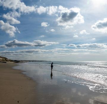 VACANCES SANS VOITURE À ARCACHON